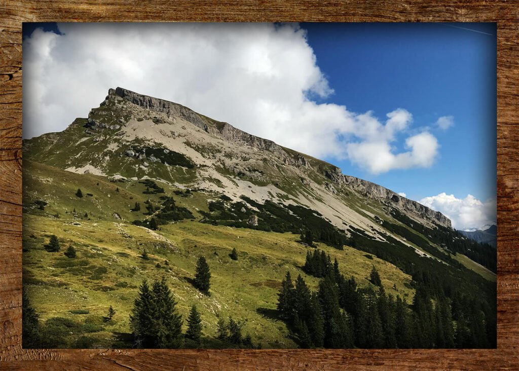 Kräuterwanderungen Sonthofen im Allgäu