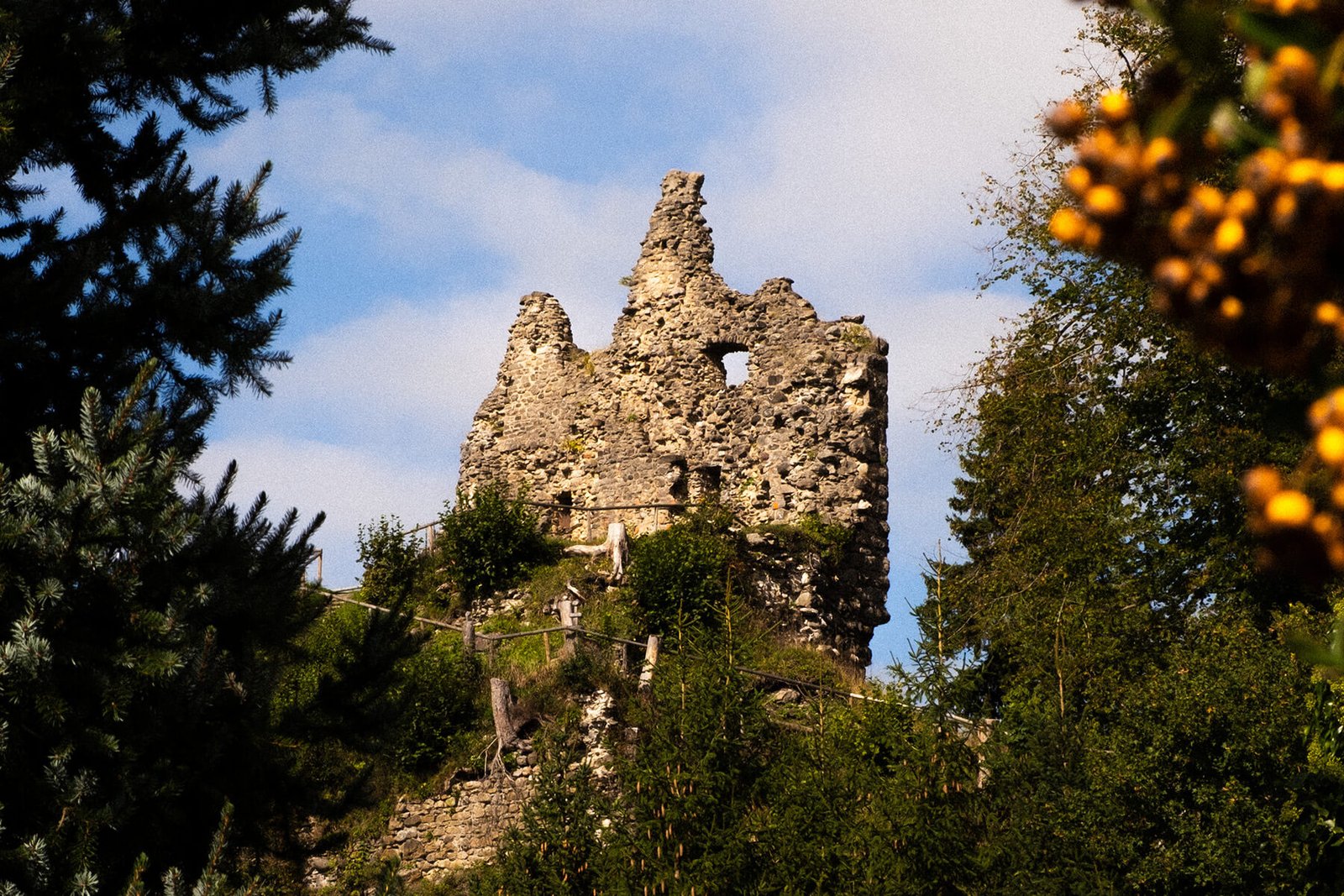 Burgruine Burgberg auf einer Kräutertour im Allgäu