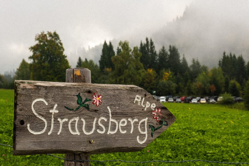 Parkplatzsituation bei der Strausbergalpe