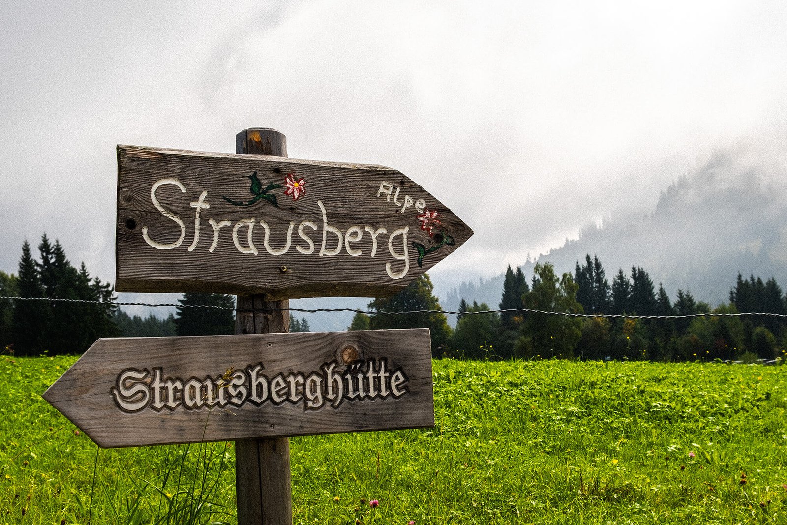 Wegweiser zur Strausbergalpe auf der Kräuterwanderung im Allgäu